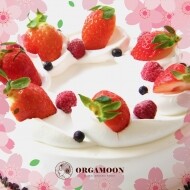 생과일 딸기 생크림 케이크 Fruit Whipping Cream Cake
